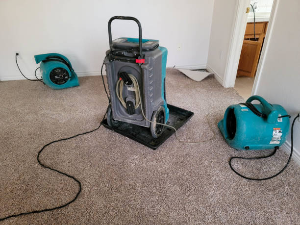 Best Water damage contractors near me  in Ladue, MO