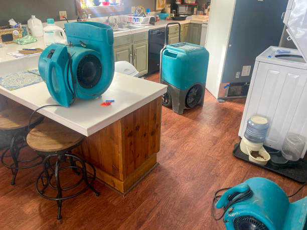 Best Water damage restoration near me  in Ladue, MO