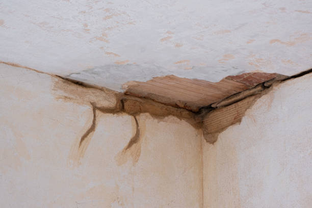 Best Water damage repair service  in Ladue, MO