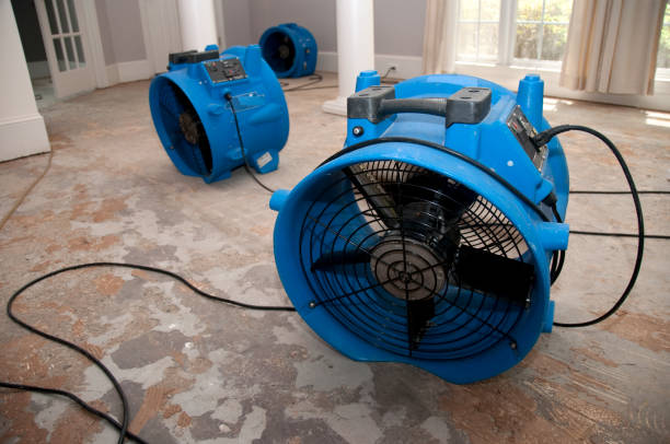 Best Local water damage restoration  in Ladue, MO