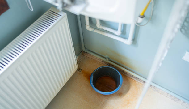 Best Flood damage cleanup  in Ladue, MO