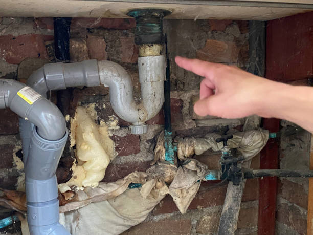 Best Professional water damage repair  in Ladue, MO