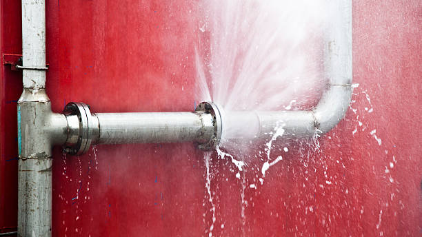 Best Water damage restoration mold remediation  in Ladue, MO